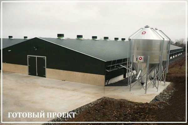 Этапы возведения птицефабрики от завода ВелесТент-срс
